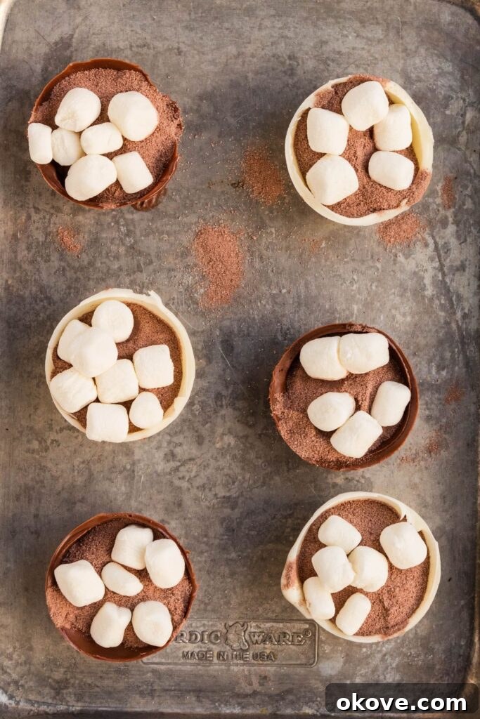 Gourmet Cocoa Melts 6 Cocoa bombs spheres filled with cocoa powder and mini marshmallows.