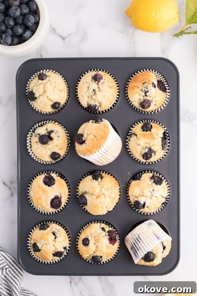 Golden muffins beautifully baked in the muffin tin, with fresh blueberries and lemon slices arranged decoratively on the marble table beside them, showcasing the ingredients and the final product.