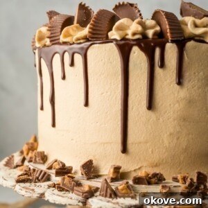 Chocolate cake covered in peanut butter frosting with a chocolate ganache drizzle down the sides.