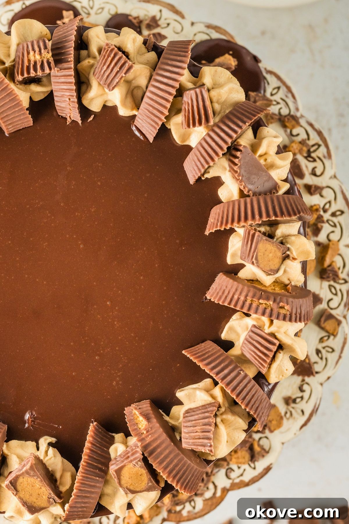 Peanut Butter Chocolate Dream Cake 10 Top view of a frosted chocolate peanut butter cake, adorned with chocolate ganache and mini peanut butter cups.