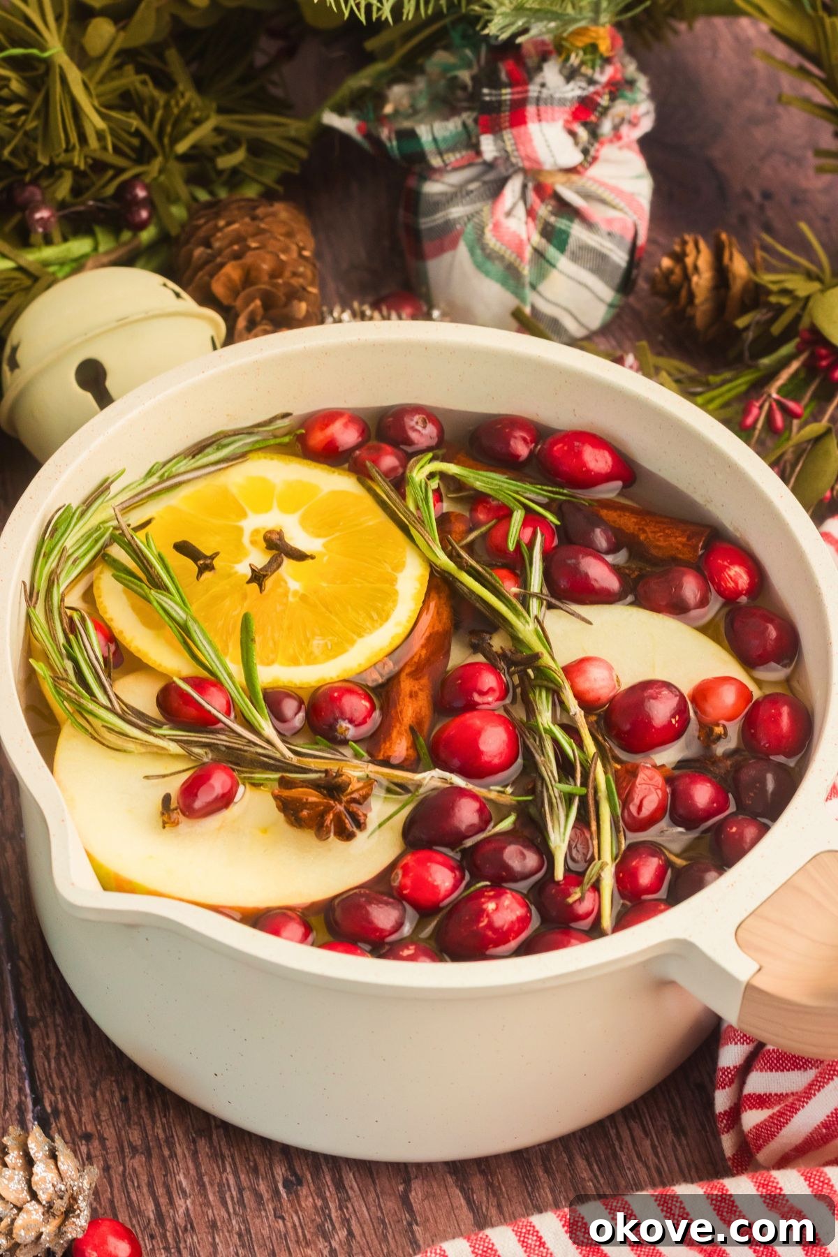 Simmering Christmas Cheer 2 Cream colored saucepan filled with water, cranberries, fruit slices, and other ingredients to make a Christmas simmer pot.