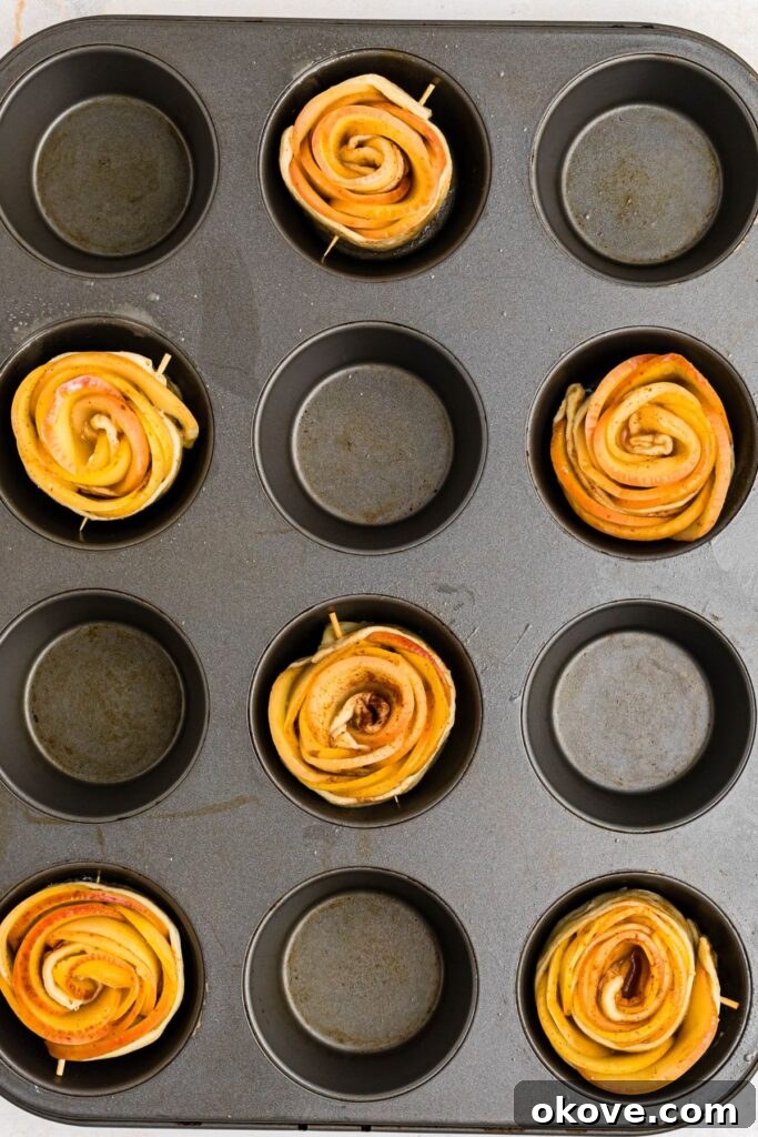 Baked Apple Blooms 8 Rolled apple roses in a muffin pan before being baked.