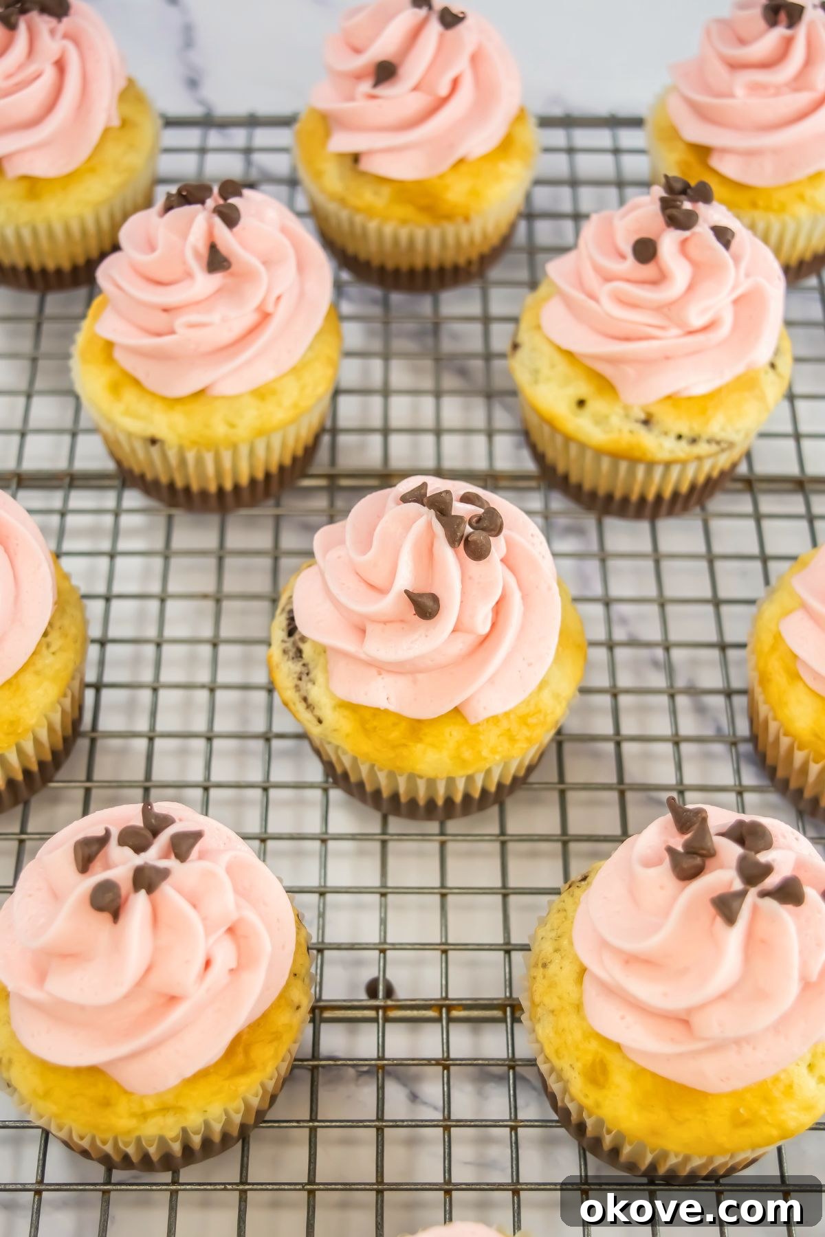 Neapolitan Swirl Cupcakes 8 Freshly baked Neapolitan cupcakes, featuring distinct chocolate and vanilla layers, are meticulously frosted with a vibrant strawberry buttercream. They are arranged on a wire cooling rack, ready to be enjoyed.