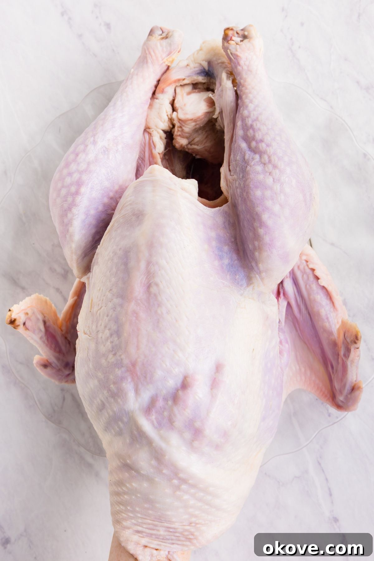 Golden Roasted Turkey Perfection 4 Uncooked whole turkey with giblets removed from cavity and skin lightly lifted away from the body.