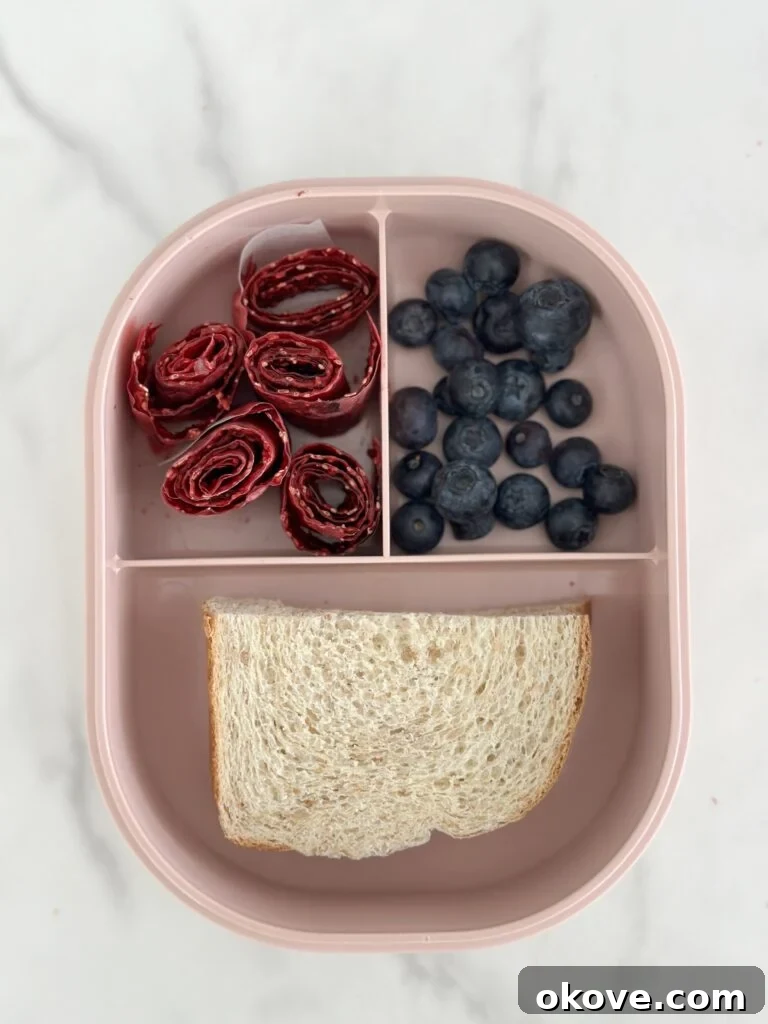 A pink divided plate with the veggie fruit roll ups, blueberries, and half a sandwich, showcasing a healthy kid's meal.