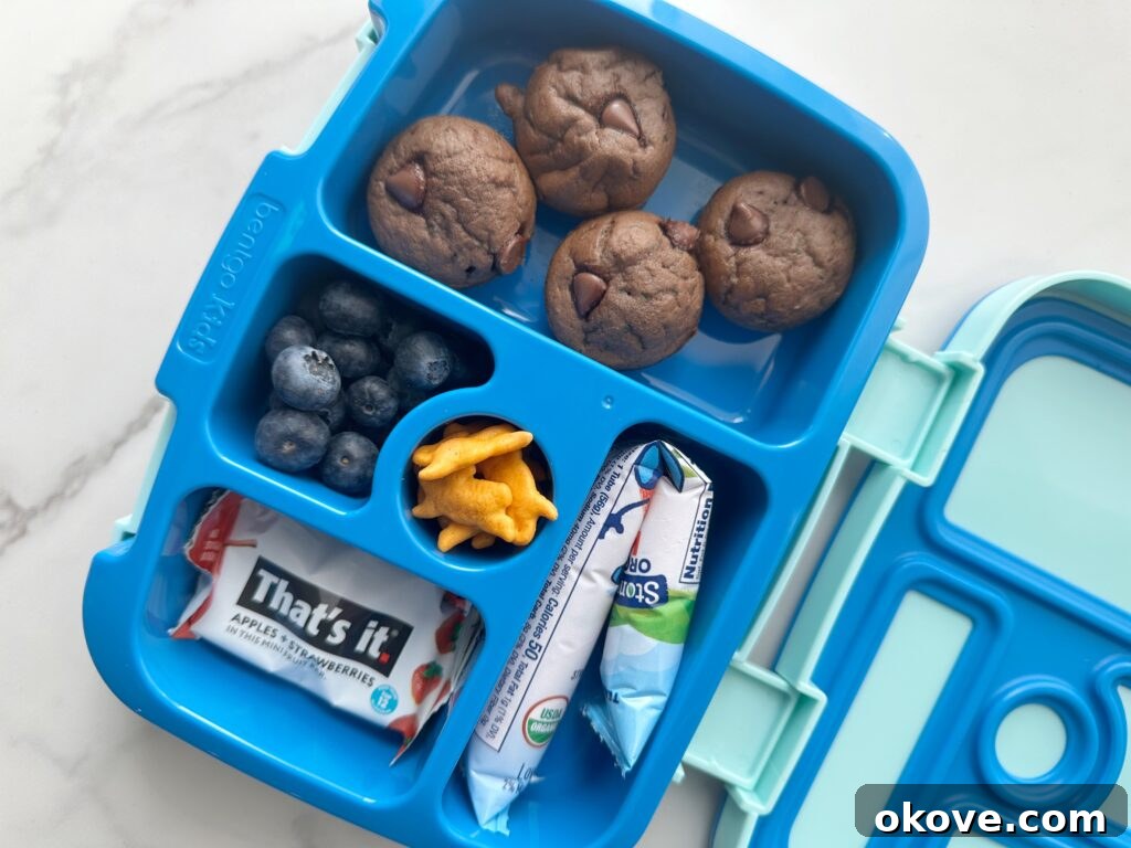 Lunchbox Magic for Toddlers 4 A lunchbox with four chocolate veggie muffins, blueberries, cheese crackers, yogurt, and a That's It bar
