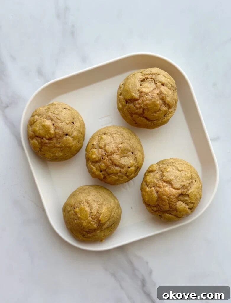 Happy Plates for Picky Toddlers 2 Muffins on a tray