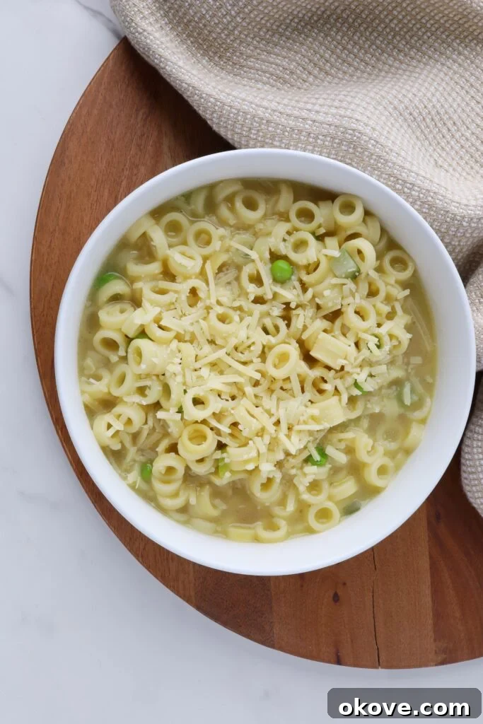 Quick & Creamy Butter Parmesan Vegetable Soup 2 A steaming bowl of comforting butter parmesan veggie soup, garnished with fresh herbs, perfect for a cozy meal.