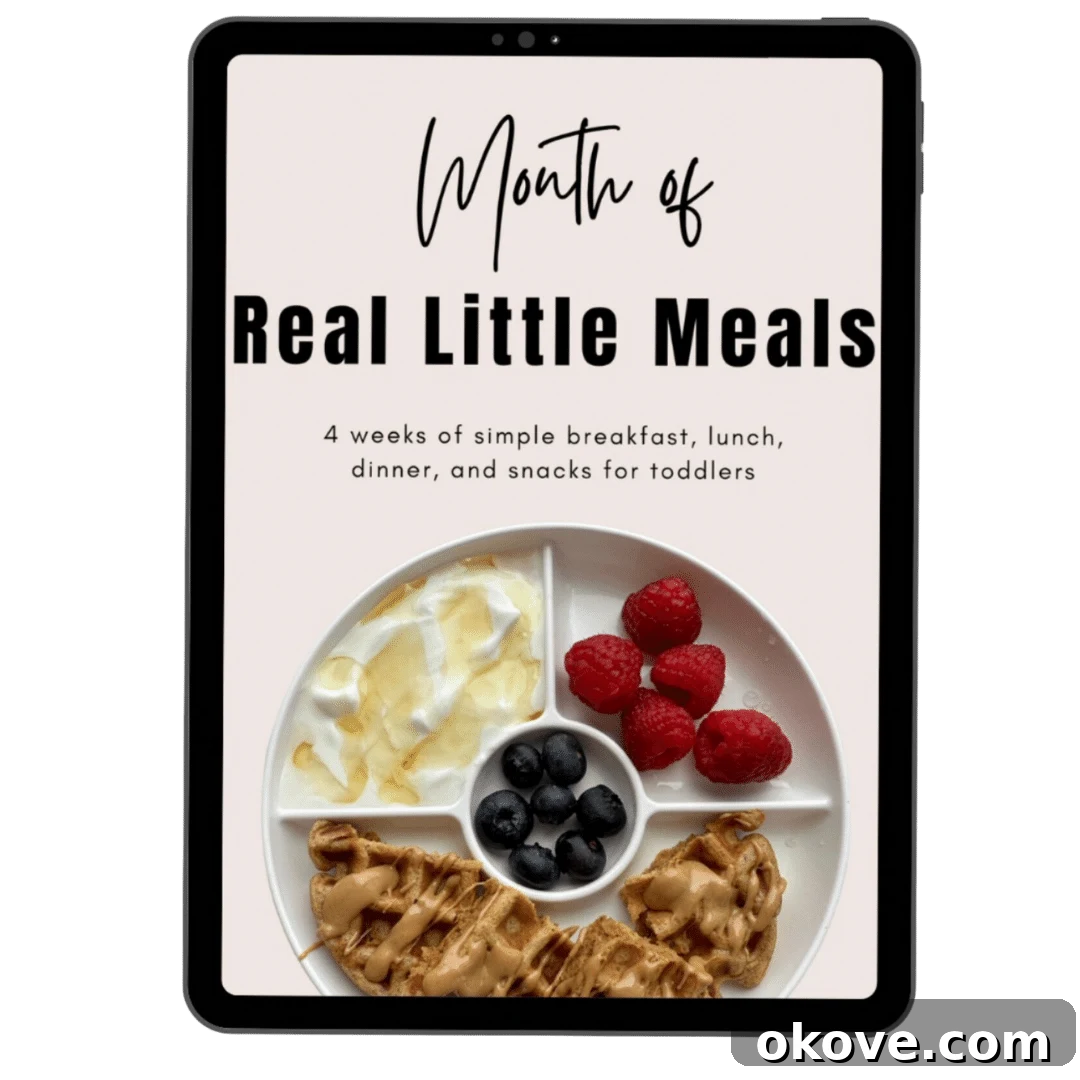 Month of real little meals cookbook cover