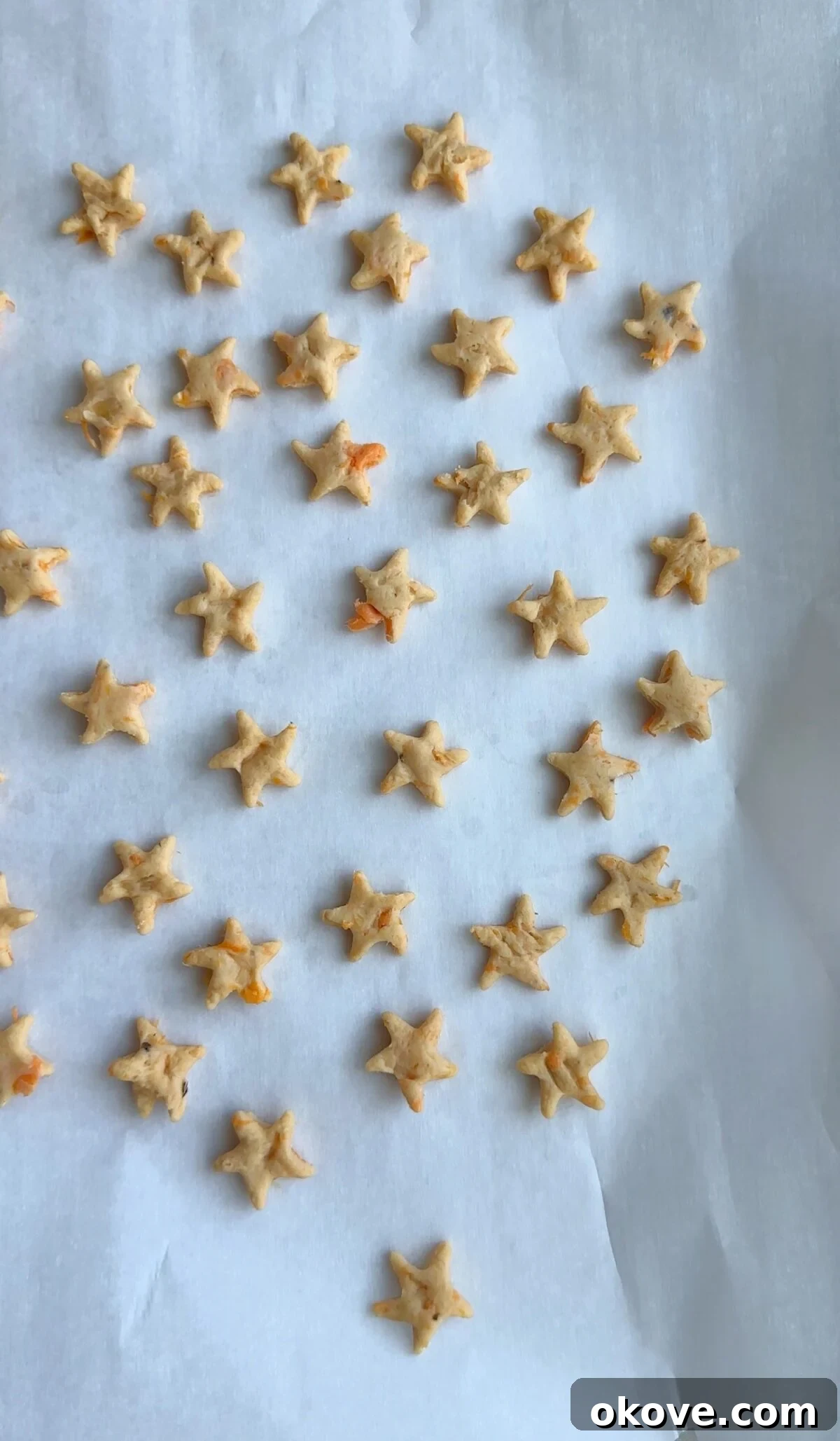 Sweet Potato Biscuit Morsels 3 Biscuit bites on a baking sheet