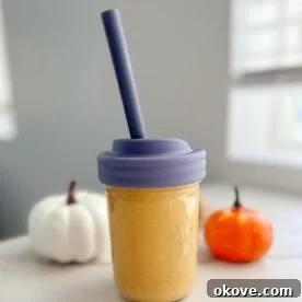 Creamy Pumpkin Smoothie