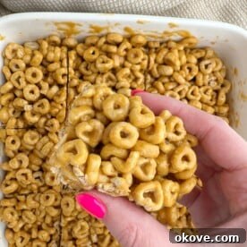 A plate of cereal bars cut into squares