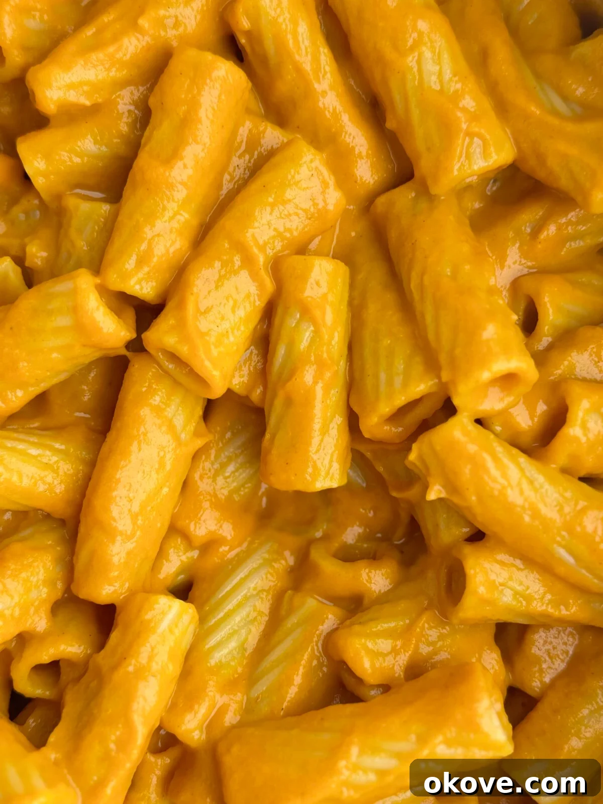 Secret Garden Roasted Pasta 2 Roasted hidden veggie pasta up close, showing its rich, smooth texture and inviting color.